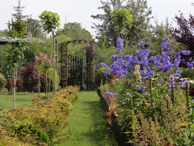Warzywnik odgrodzony niskim płotkiem osłonięty jest szpalerem kwiatów. Rośnie tu mnóstwo różnokolorowych żurawek, ostróżki, liatry, łubiny i jeżówki.
