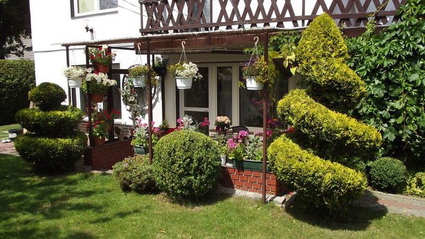 Werandę otaczają fantazyjnie przycięte drzewa.