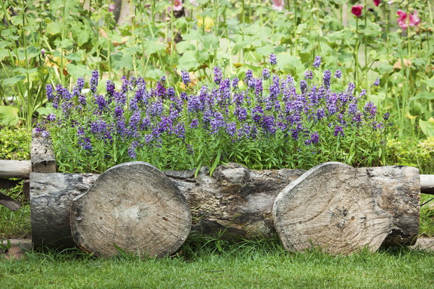 Wykorzystanie drewnianych donic może wzbogacić wiejscy wygląd ogrodu (zdj.: Fotolia.com)