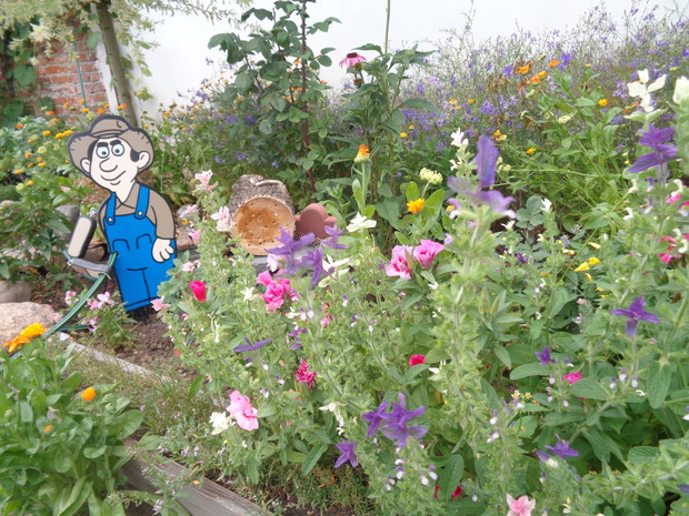 Zenek wspaniale pomaga w pielęgnacji kwiatów. 