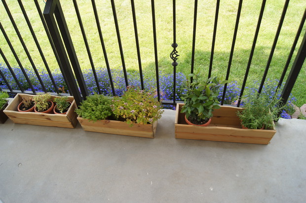 zioła: rozmaryn, liść laurowy, oregano, tymianek i fragment lubczyka