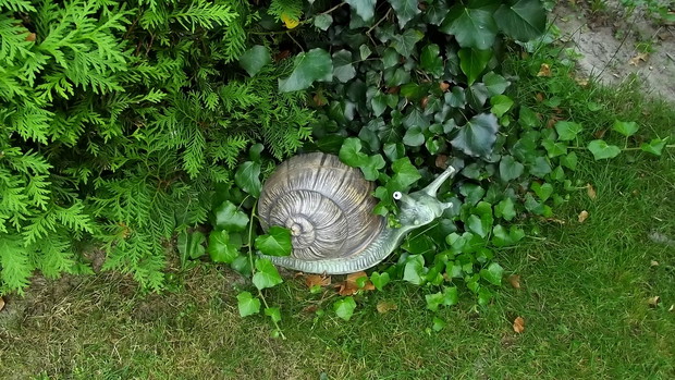Znalazł się i ślimak.