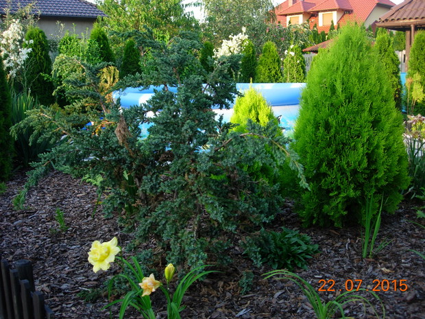 Basen widziany z boku