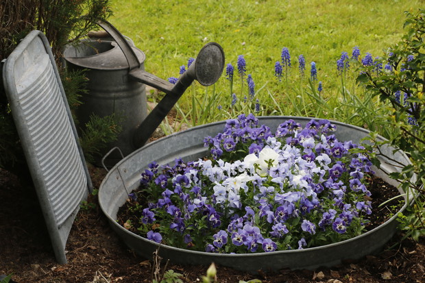 Bratkowa "piana" na wiosenne porządki