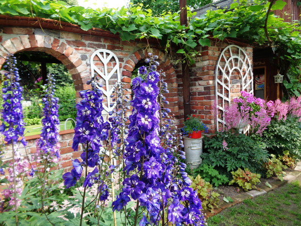 Co roku ogrodzie spełniaja się marzenia....