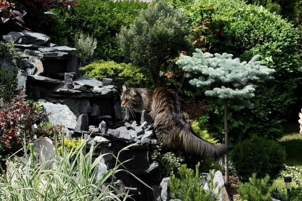 Czasami trafi się też jakiś alpinista wysokogórski :D