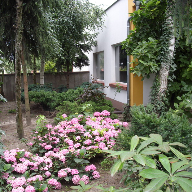 Ekspozycja południowa