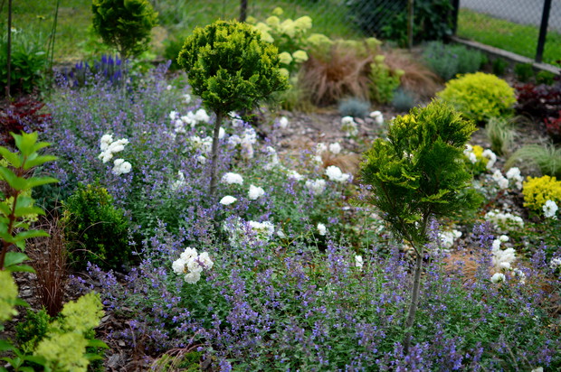 Energetyczny a jednocześnie wyciszający widok.