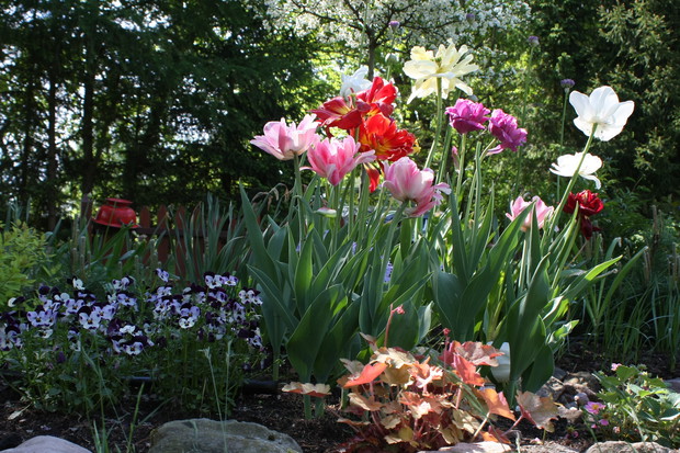 Goście z Holandii :) Jacyś tacy wrażliwi na bez mała "suwalski" klimat