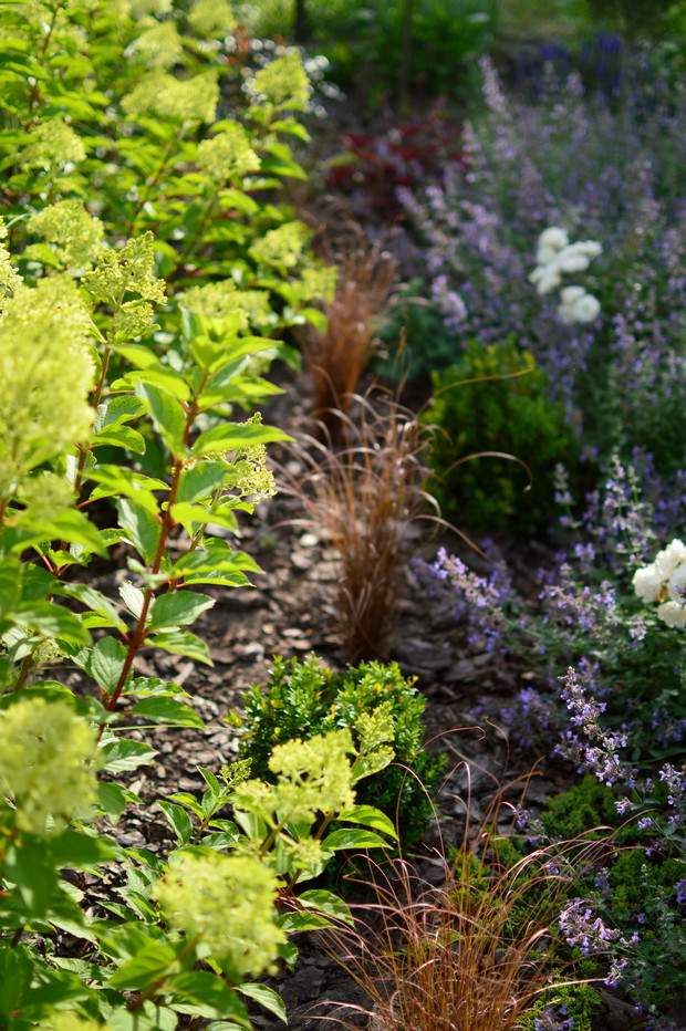 Hortensjowo-turzycowy zakątek