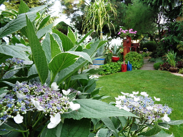 Jest taki nasz ogród , stworzony własnymi pomysłami i własną pracą.