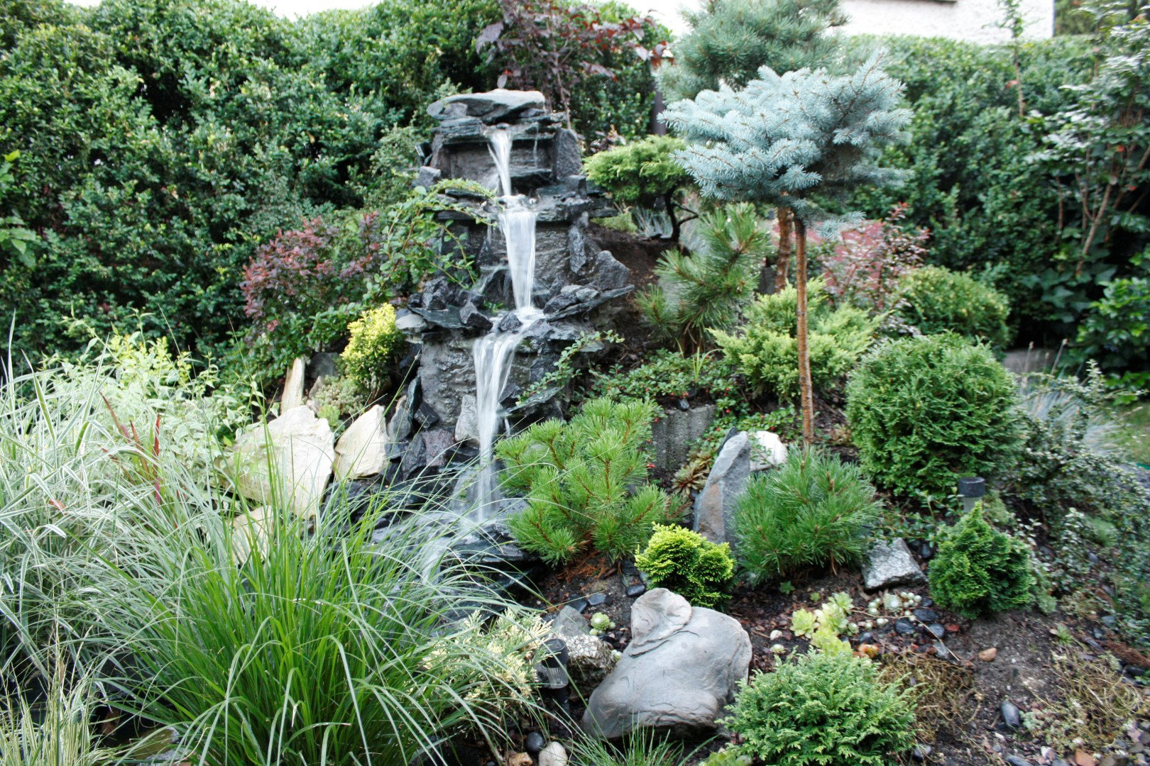 Kaskada obsadzona różnorodną roślinnością