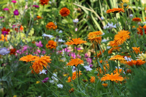 Kolorowe jarmarki - kochamy taki bałagan