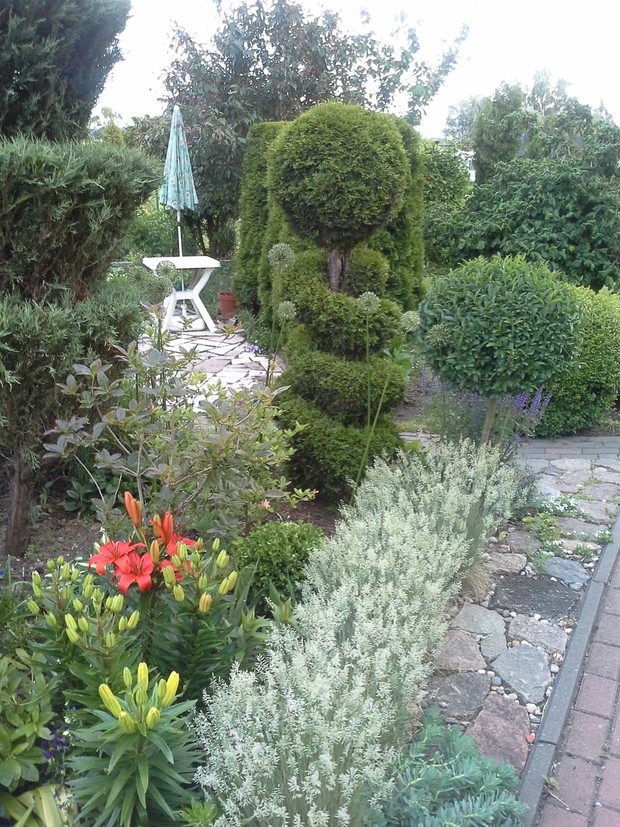 Lilje i kwitnaca trawka