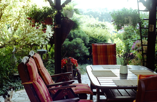 Miejsce wypoczynku w moim ogrodzie.