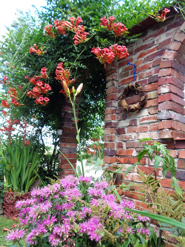 Milin w swojej krasie