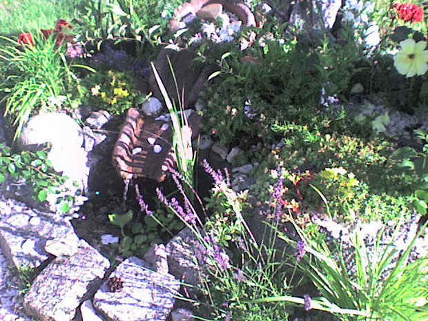 ..mini oczko wodne...