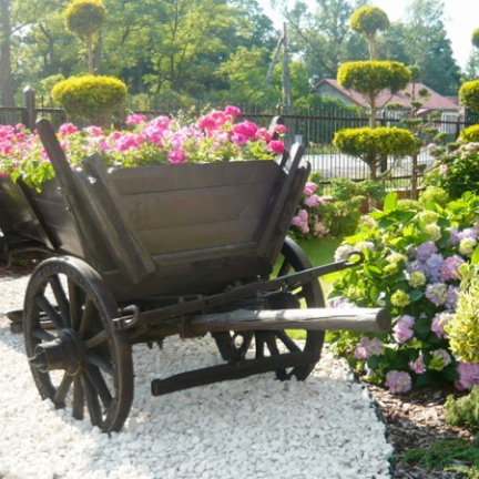 Mój piękny ogródek...