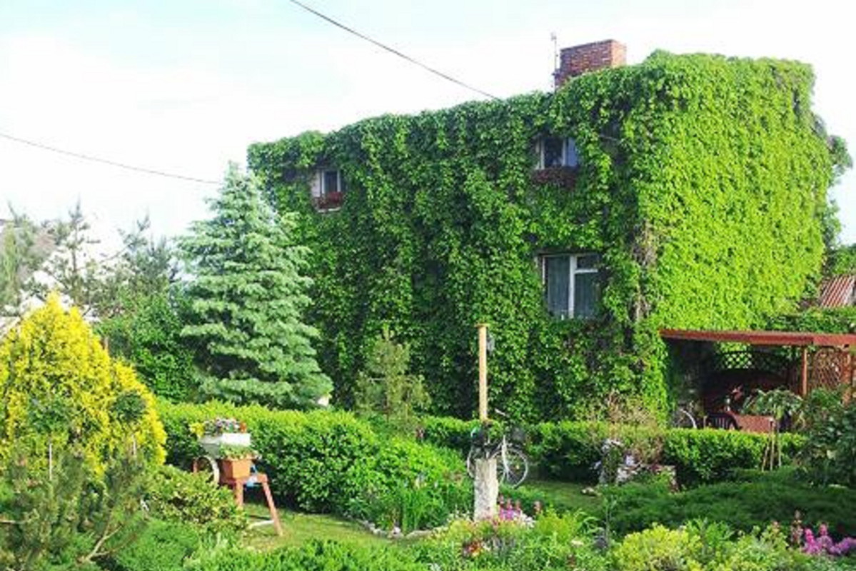 Moj zielony domek