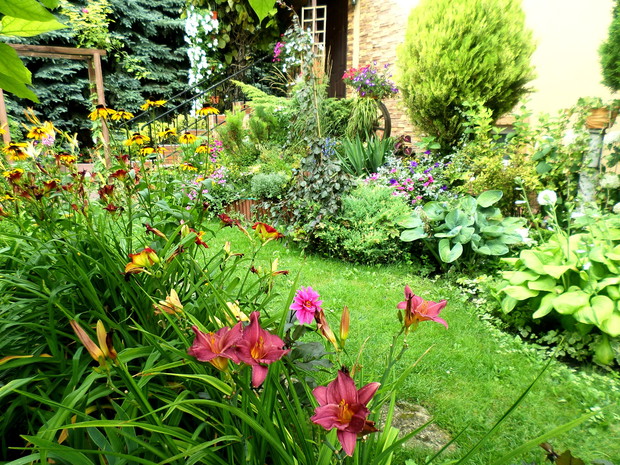 Na pierwszym planie liliowcowa alejka.