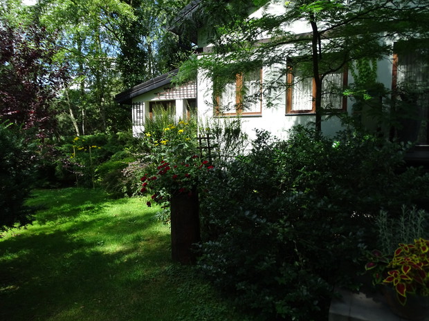 Naturalnie leśny klimat widać z każdego okna naszego domu