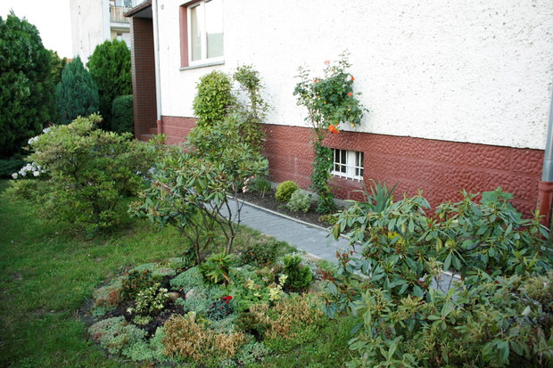 Od wiosny do jesieni zawsze coś kwitnie i cieszy mój wzrok 