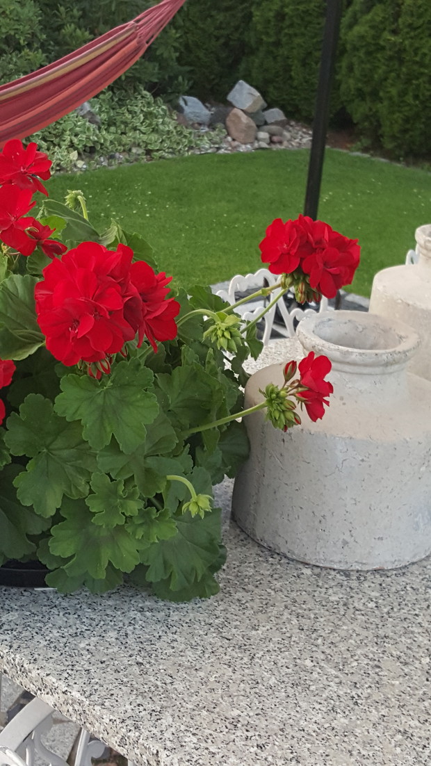 Odpoczynek w dobrym towarzystwie;)