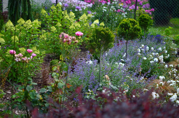 Odsłaniając trochę więcej z jednej strony...