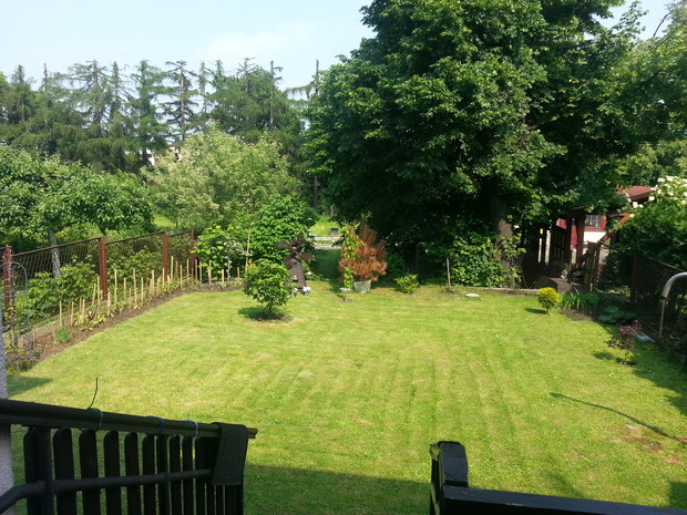 Ogródek za domem w czerwcu.
Osobiście ogród urządziłem w stylu można powiedzieć, że mieszańcowym. Mam w ogrodzie części reprezentacyjne, użytkowe i dopełniające urok podmiejskiego ogródka. Ogród ten w dużej mierze ma znaczenie symboliczne. Jabłonka, grus