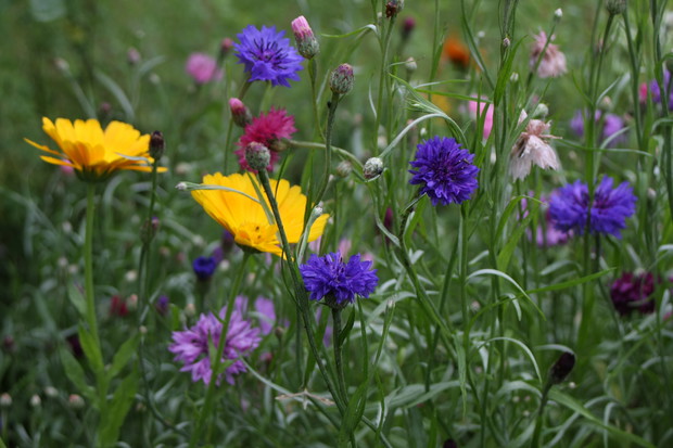Okiem w dzieciństwo i budzą się wszystkie sentymenty