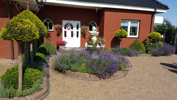 ..pachnąco.... zmysłowo...ekscytująco..