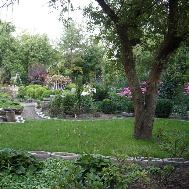 Perspektywa północna