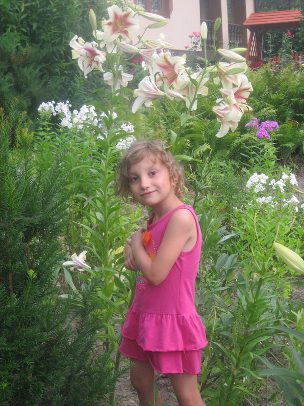 PIĘKNE LILIE DUMA MOJEJ CÓRKI