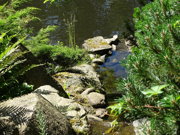 Prawie jak górski potok - woda w stawie krąży