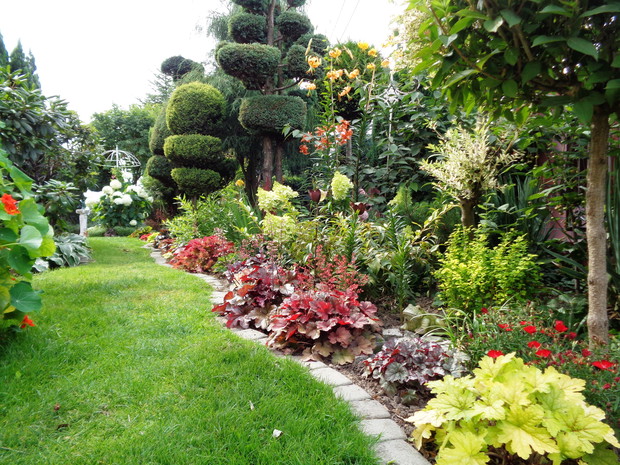 Przykuwając wzrok dla żurawek głównie liśćmi przemieniły się w trakcyjne
rośliny a kwiaty ich to tylko uroczy dodatek, dlatego  nie
można się oprzeć kolejnej zakupionej żurawki.