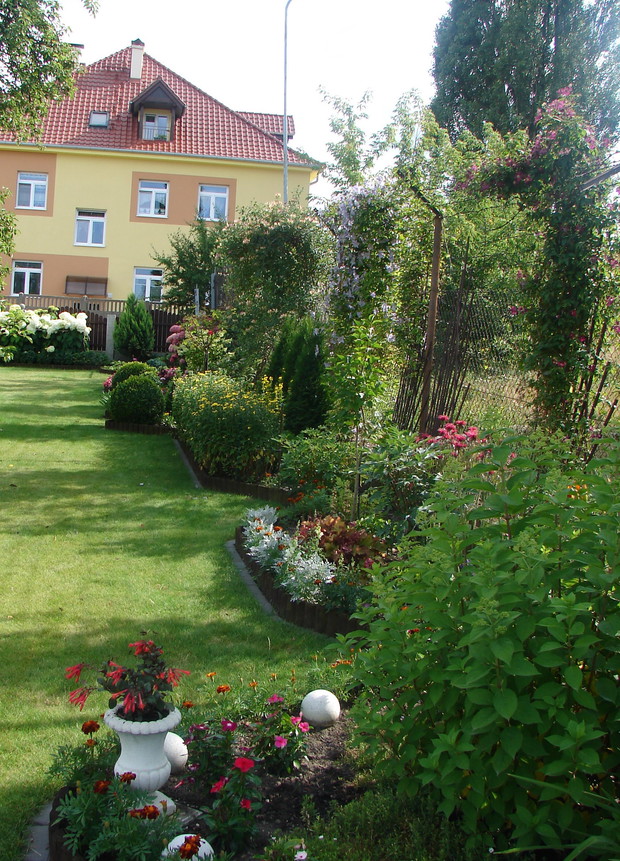 rabata pokazana od dolu ogrodu