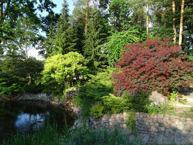 Rośliny o różnokolorowych liściach i fakturze
