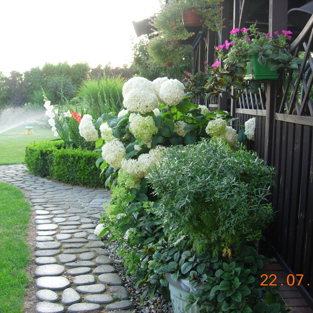 Rośliny przed altaną