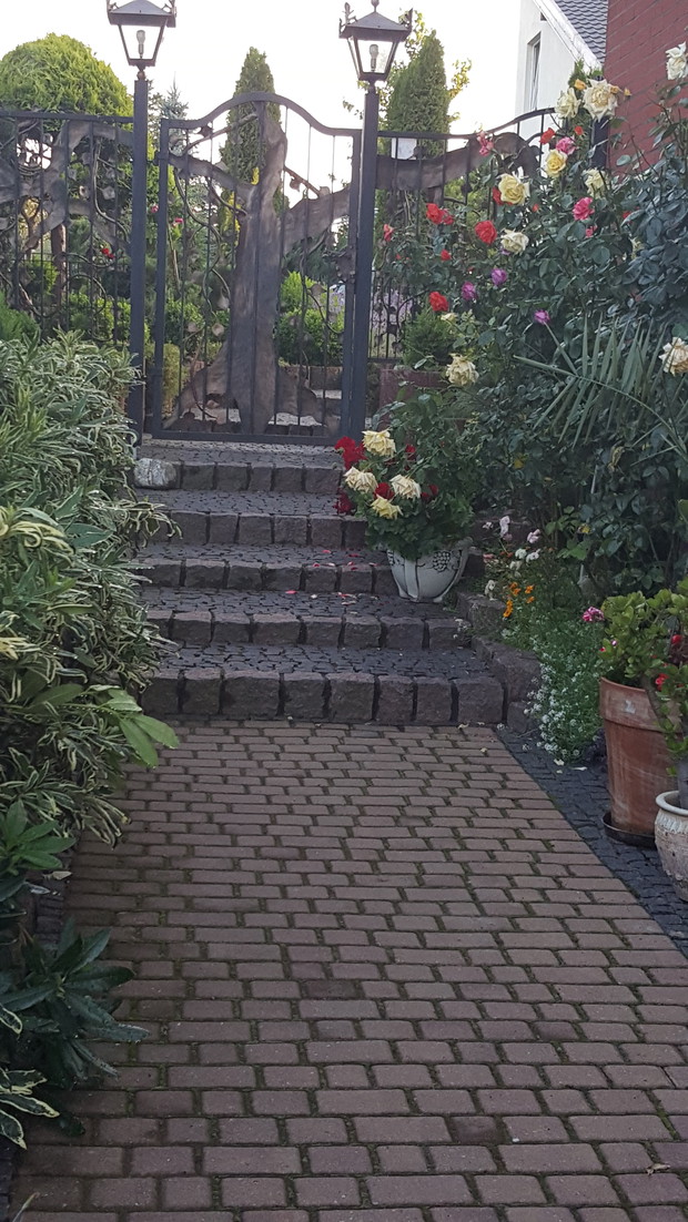 Różana ścieżka..