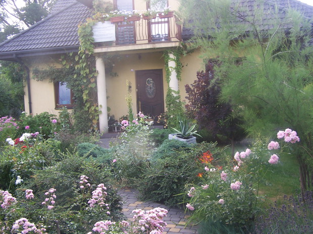 róże irgi i jałowce przy ścieżce prowadzącej do drzwi wejsciowych