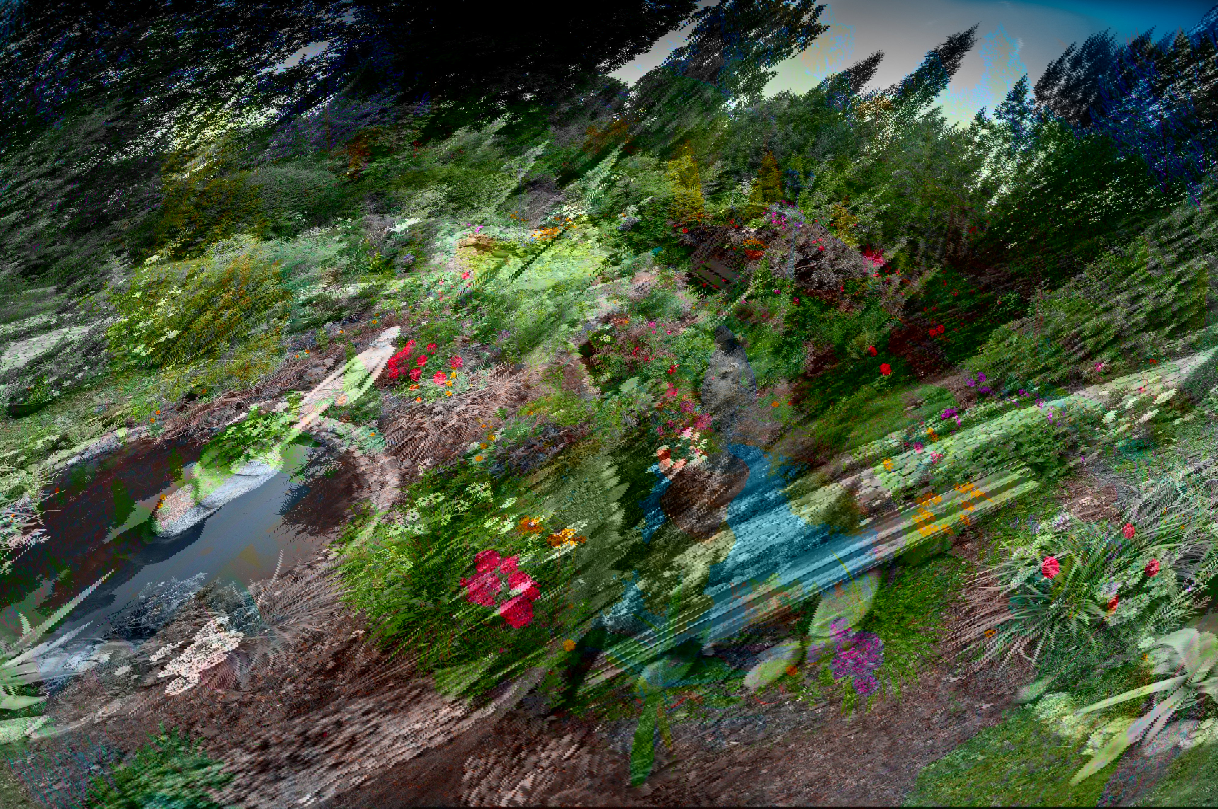 rzut na cały ogród