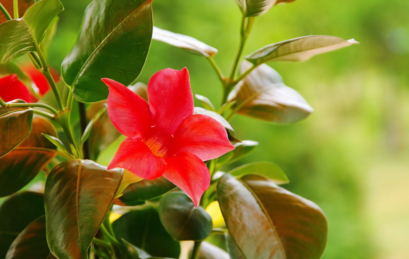 Sundavilla (zdj.: Fotolia.com)