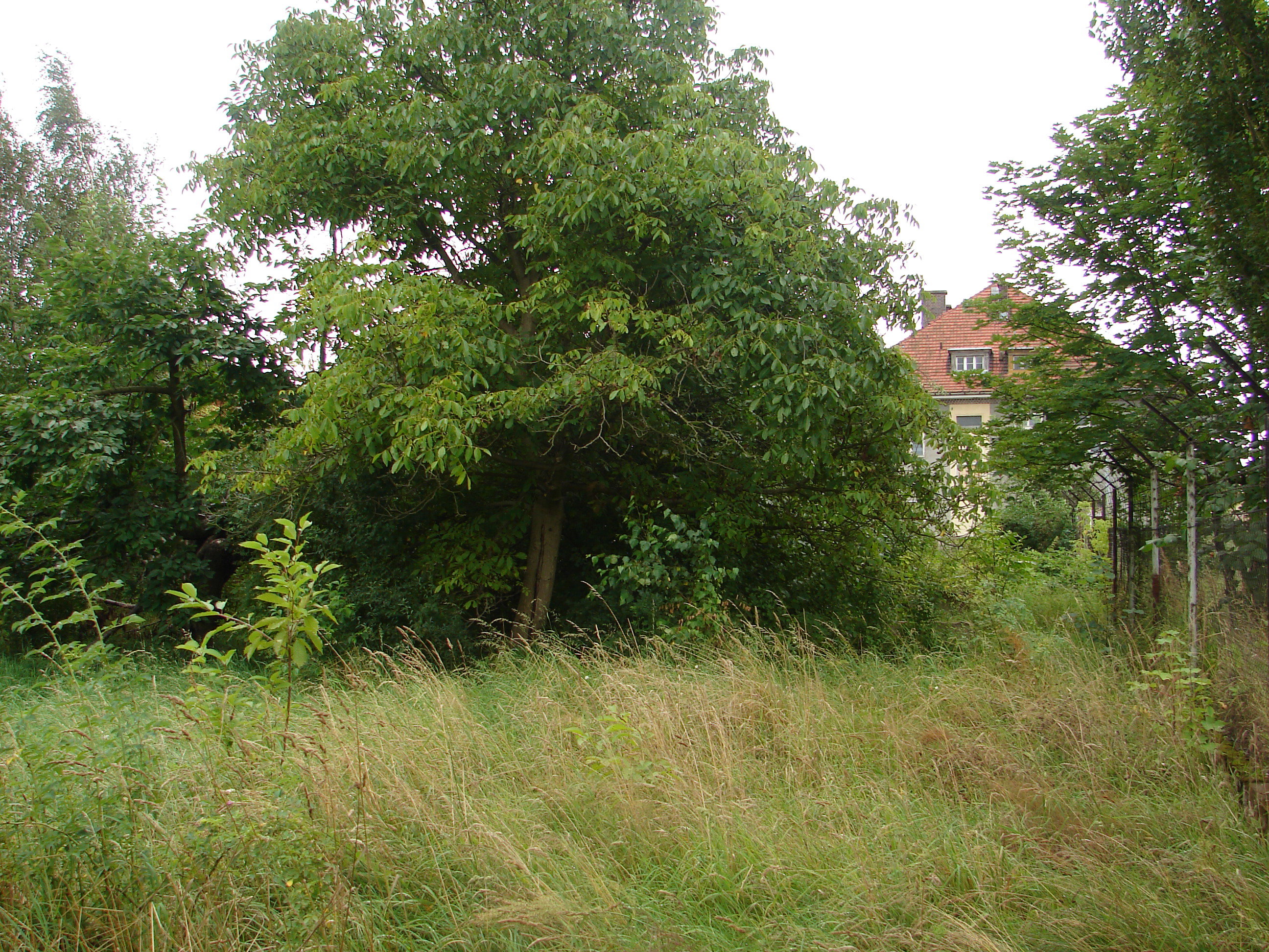 Tak było na poczatku.