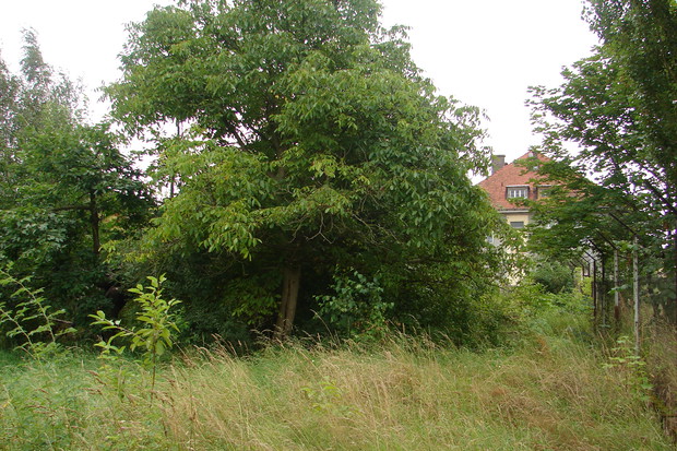 Tak było na poczatku.