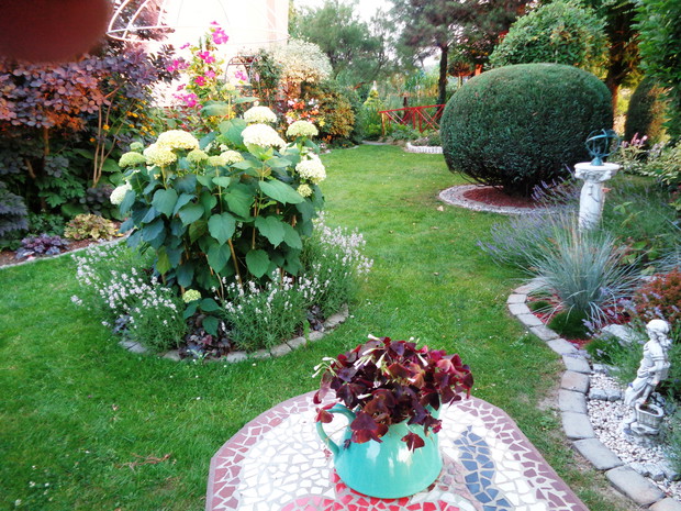 Tak sobie myślę że trudno mi wyobrazić sobie nasz ogród bez tych pięknych kwiatów.