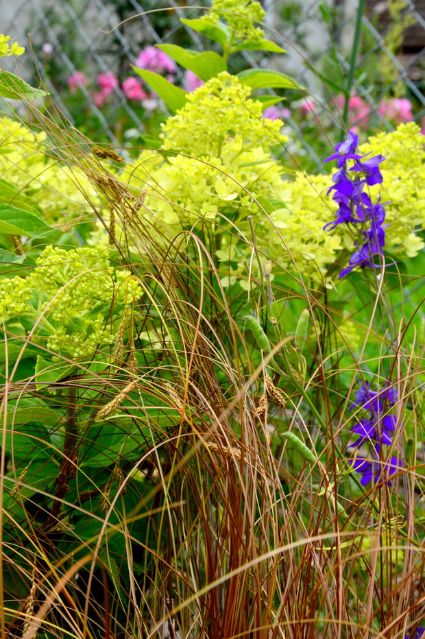 Trawkowo-limonkowo mi!