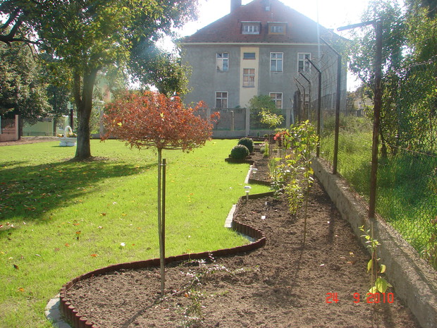 Tworzenie pierwszej rabaty.