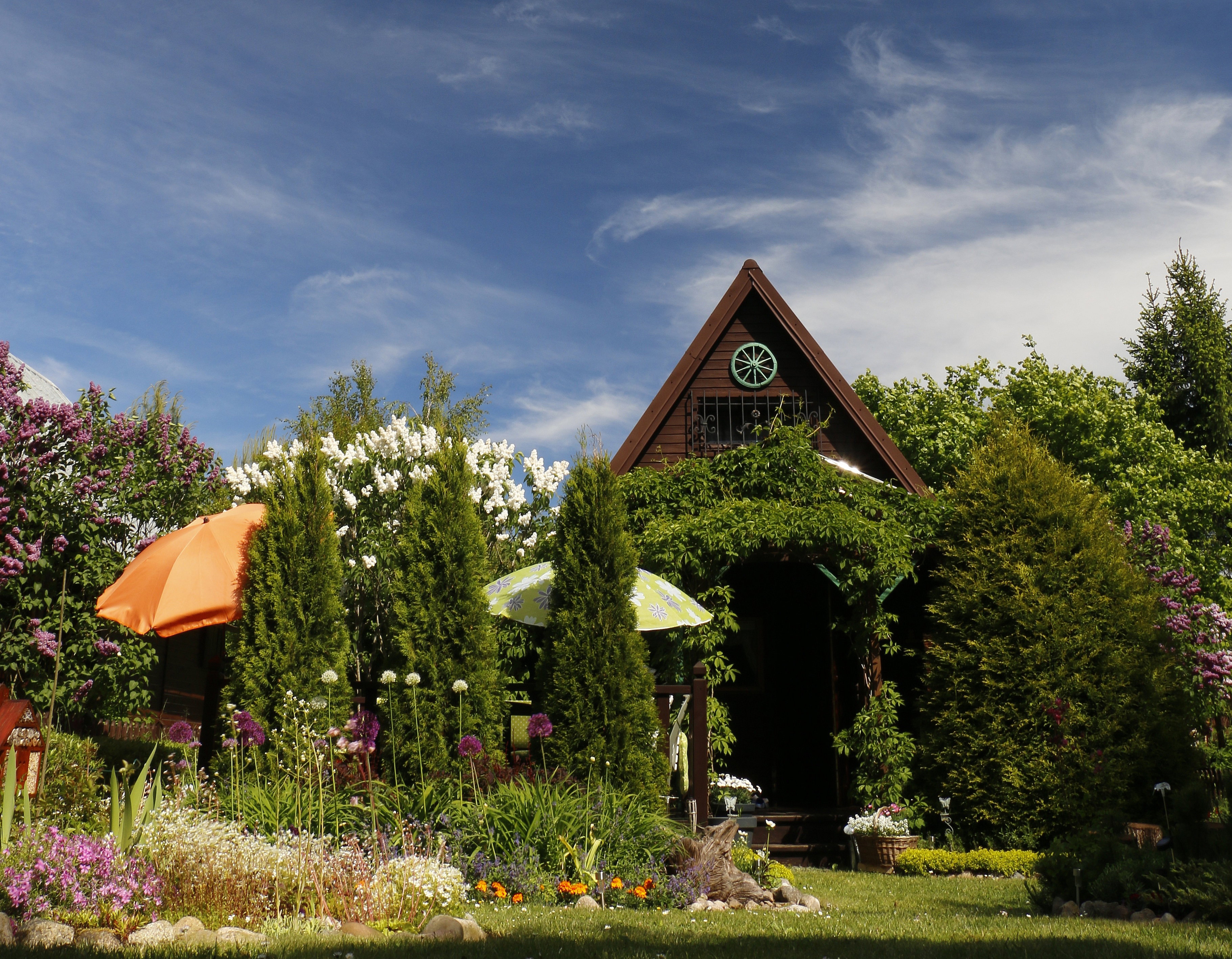 Uciekamy tu na weekendy, schować się w zieleń...