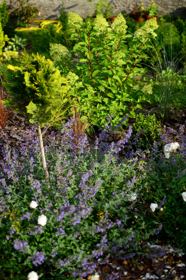 Uwielbiam to zestawienie.