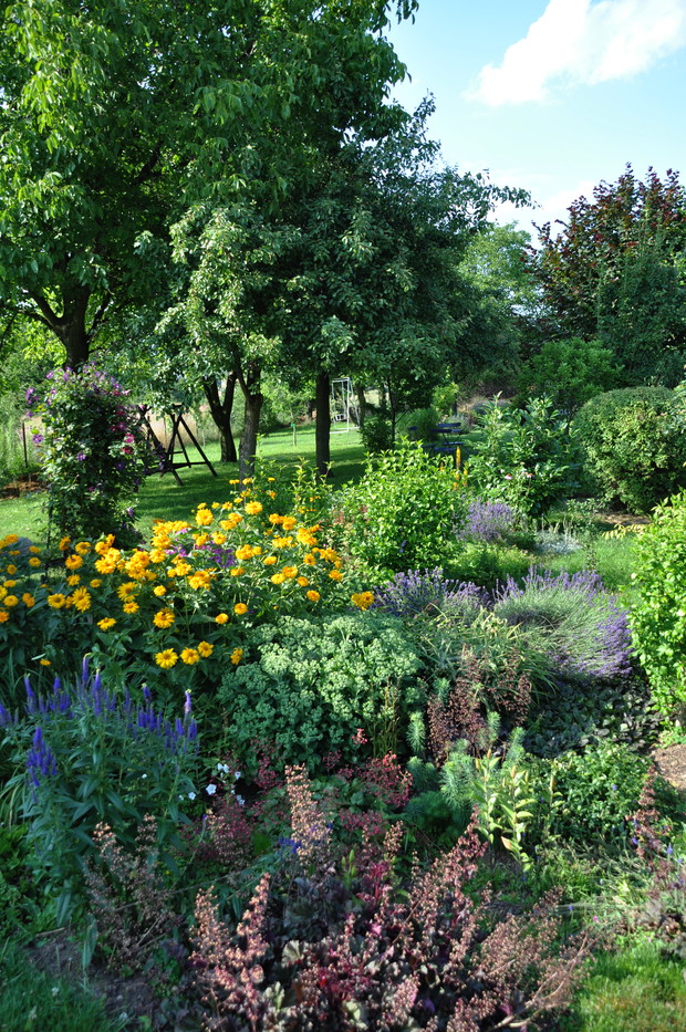 Widok na rabatę kwiatową.